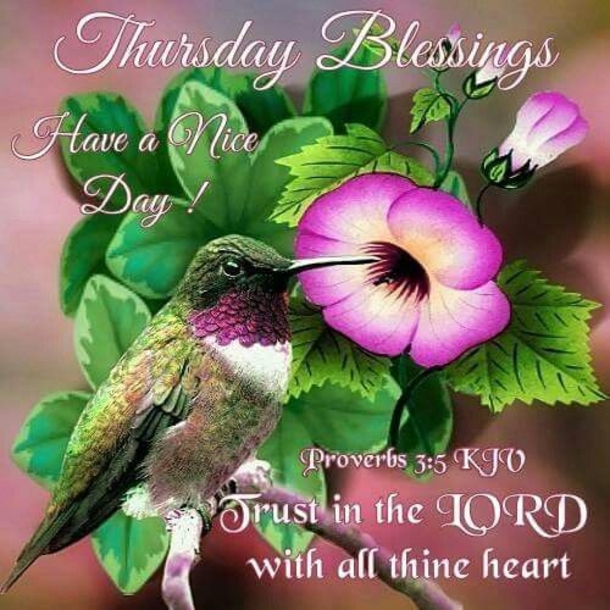 10 Top Blessed Thursday Quotes And Sayings - picture 11