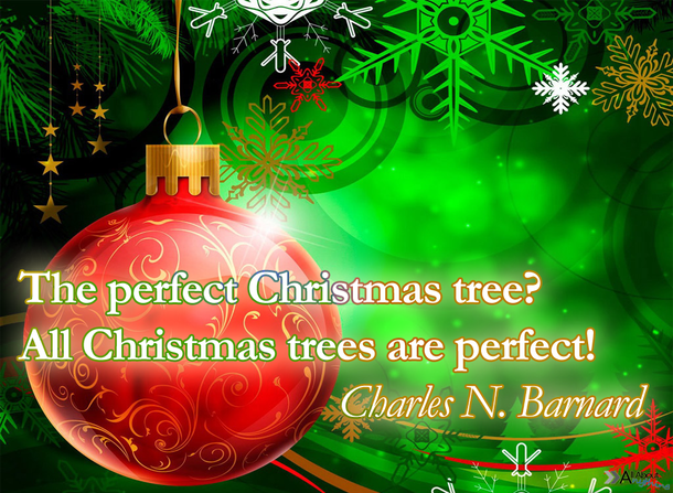 10 Top Christmas Quotes, Sayings And Phrases - picture 8