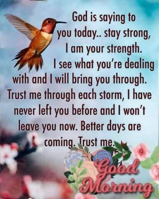 10 Top Daily Good Morning Quotes And Sayings - picture 3
