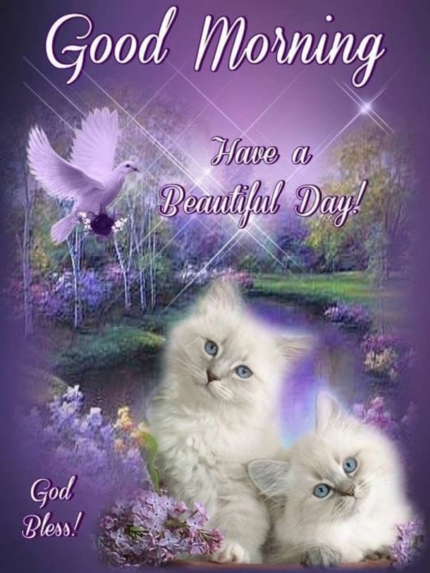10 Top Daily Good Morning Quotes And Sayings - picture 9