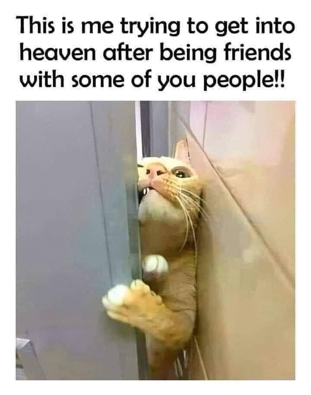 10 Top Funny Memes For The New Week - picture 11