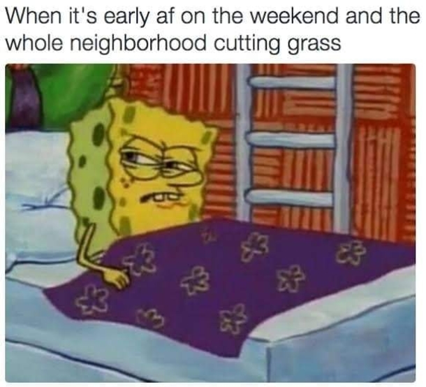 10 Top Funny Memes For The New Week - picture 12