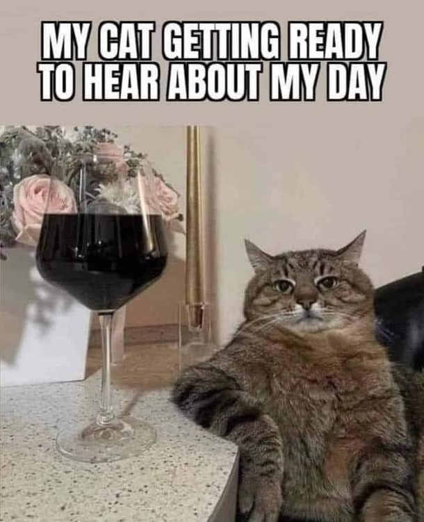 10 Top Funny Memes For The New Week - picture 4