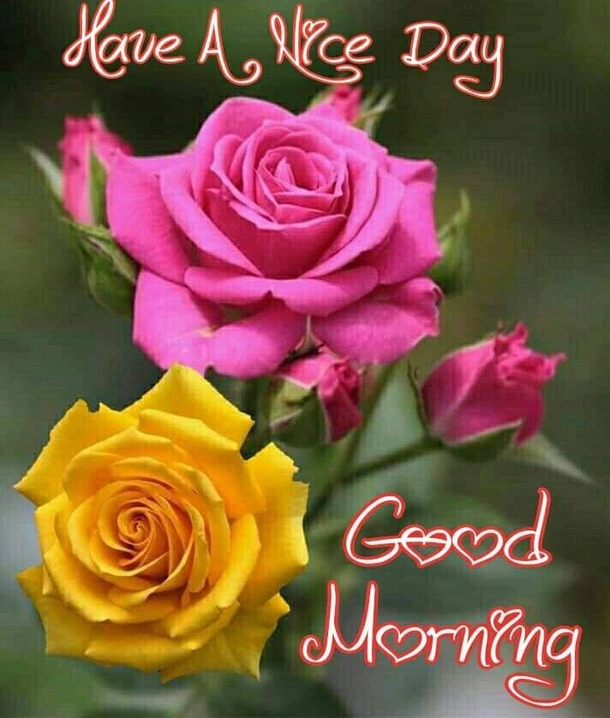 10 Top Good Morning Messages, Wishes & Sayings - picture 11