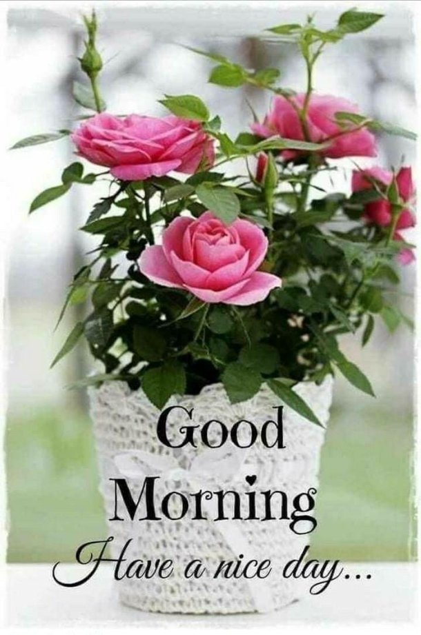 10 Top Good Morning Messages, Wishes & Sayings - picture 4