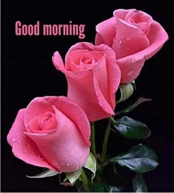 10 Top Good Morning Messages, Wishes & Sayings - picture 8