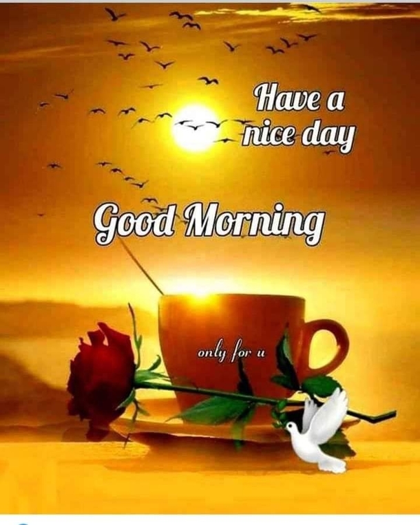 10 Top Good Morning Messages, Wishes & Sayings - picture 9