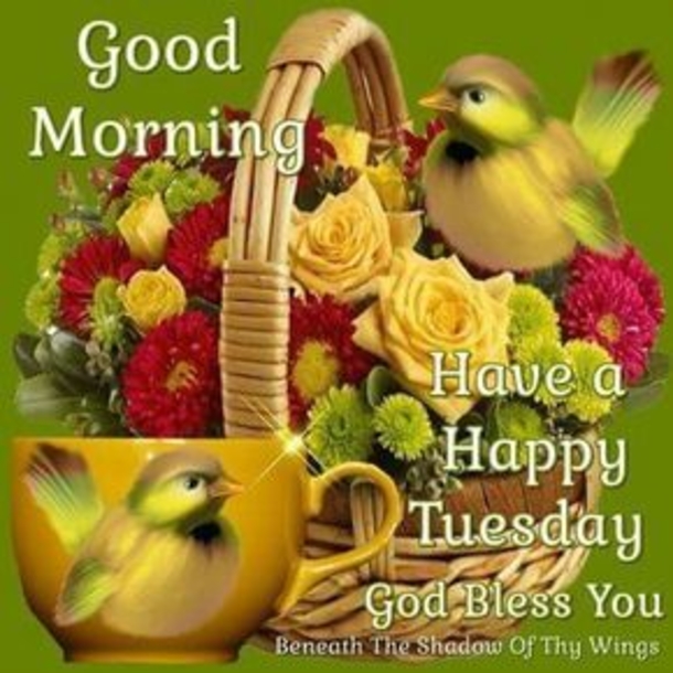 10 Top Good Morning Tuesday Pictures With Quotes - picture 10