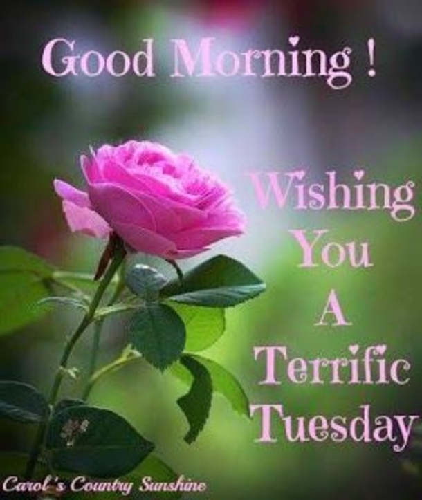 10 Top Good Morning Tuesday Pictures With Quotes - picture 2
