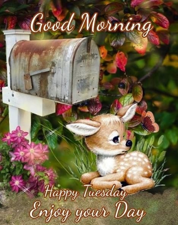 10 Top Good Morning Tuesday Pictures With Quotes - picture 4