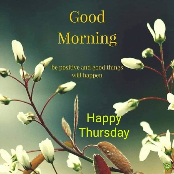 10 Top Happy Thursday Quotes And Sayings To Inspire Your Day - picture 6
