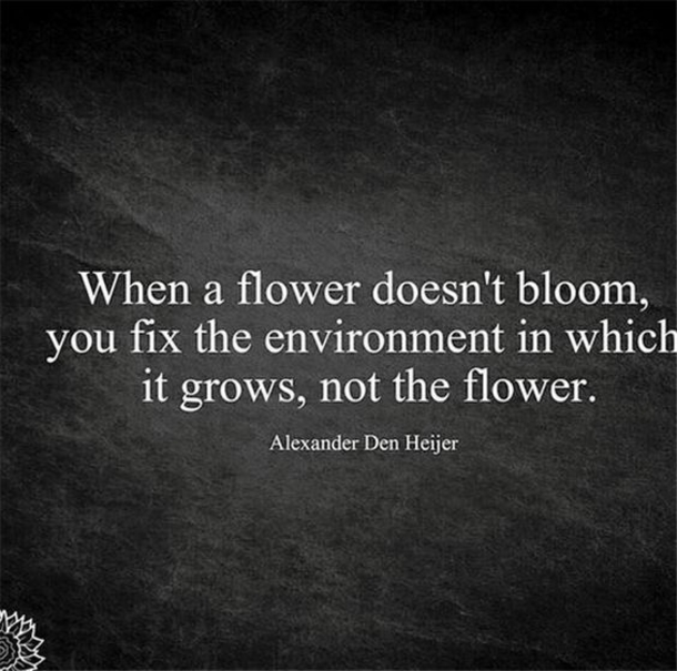 10 Top Life Quotes On Change and New Beginnings - picture 5