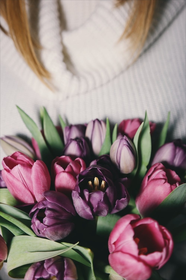 10 Top Lovely Floral Photography Images - picture 7