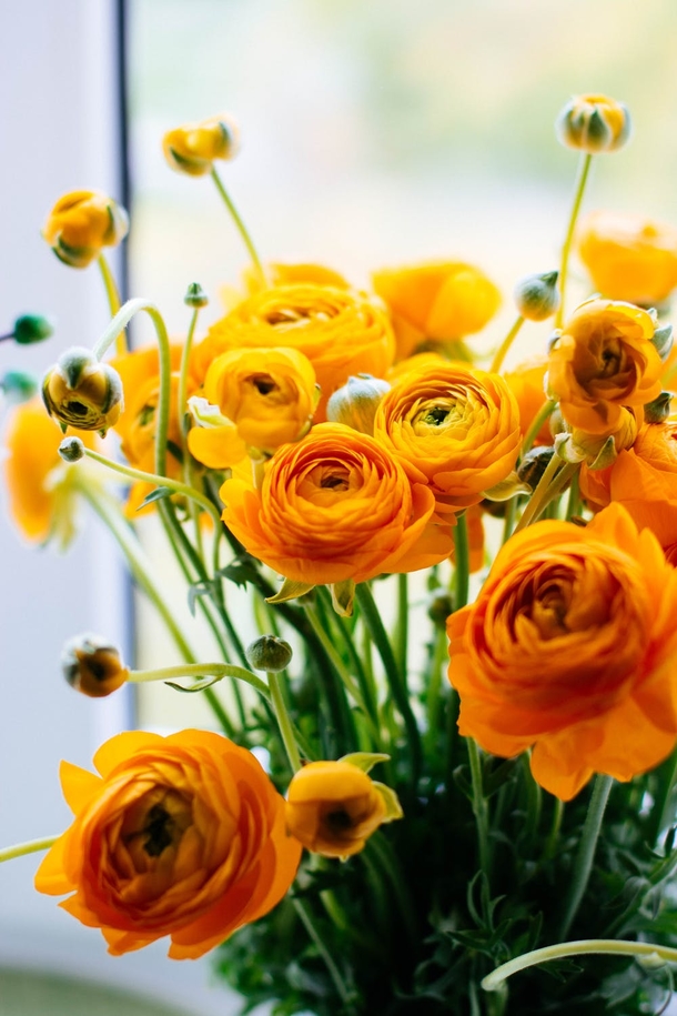 10 Top Lovely Floral Photography Images - picture 9