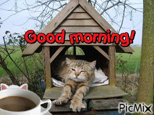 10+ Top Lovely Good Morning Animated Gifs - picture 7
