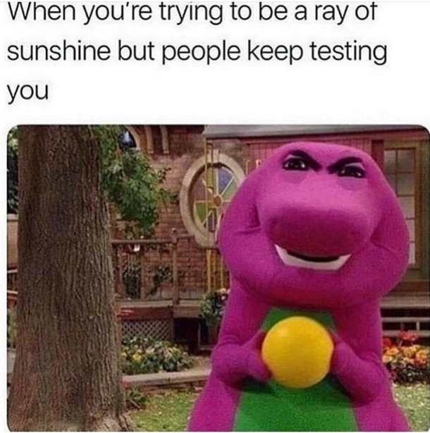 10 Top Memes That Have Humor Anyone Will Like - picture 5