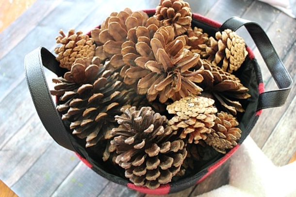 10 Top Pinecone Crafts For Christmas - picture 11