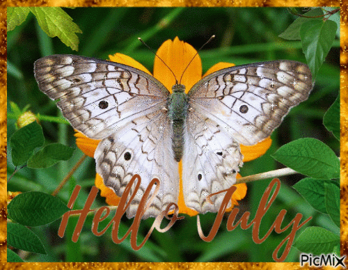 10 Top Popular Hello July Gifs For 2023 - picture 10