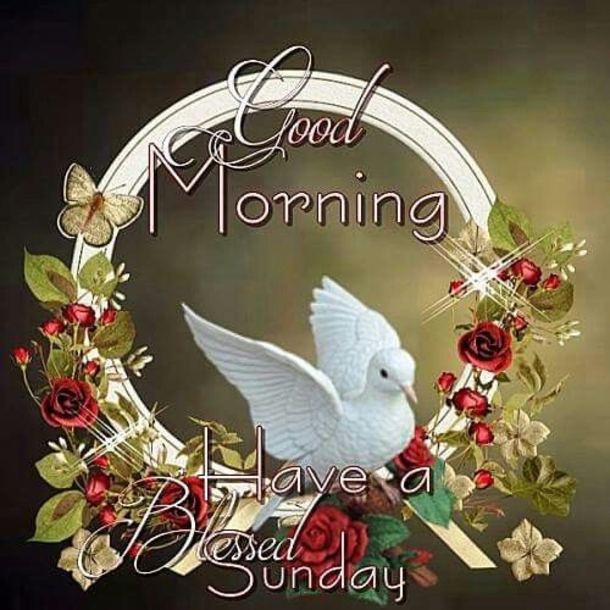 10 Top Sunday Images With Quotes To Share - picture 11