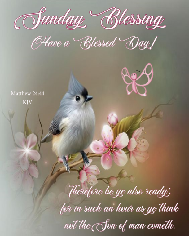 10 Top Sunday Quotes, Wishes And Blessings - picture 5