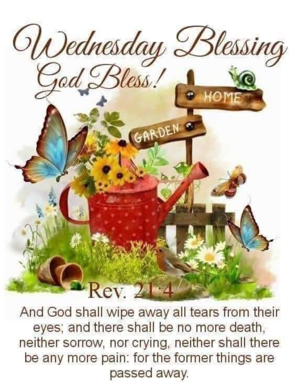 10 Top Wednesday Blessings Of The Week - picture 10