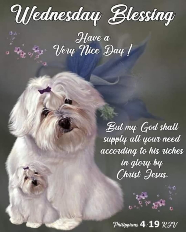 10 Top Wednesday Blessings Of The Week - picture 2