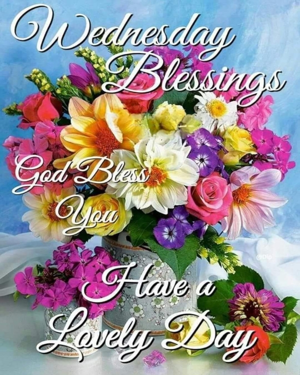 10 Top Wednesday Blessings Of The Week - picture 3