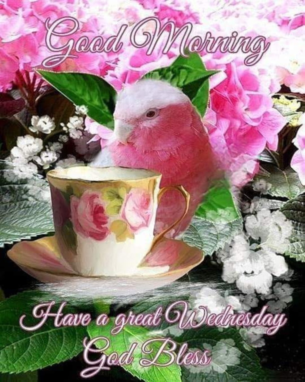 10 Top Wednesday Blessings Of The Week - picture 5