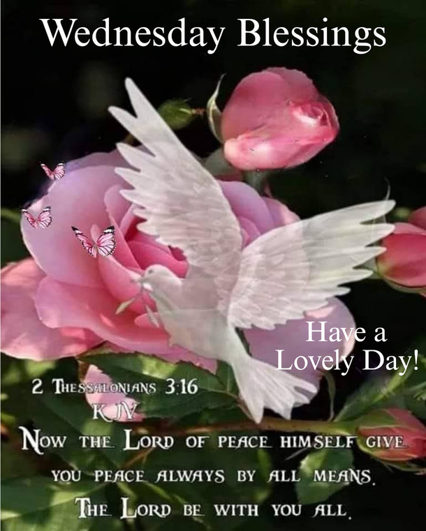 10 Top Wednesday Blessings Of The Week - picture 8