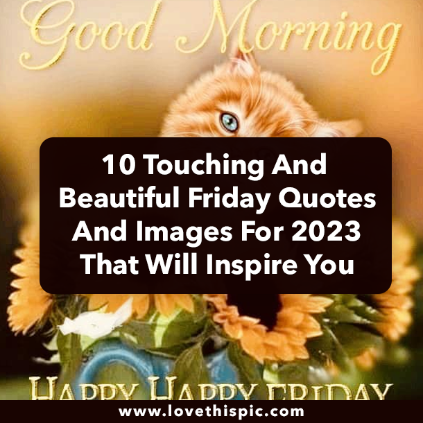 10 Touching And Beautiful Friday Quotes And Images For 2023 That Will Inspire You