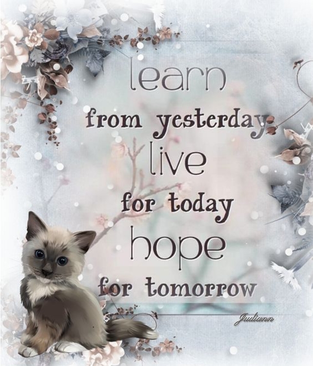 10 Touching And Beautiful Thoughts - picture 7