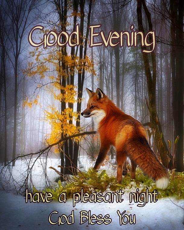 10 Touching Good Evening Messages To Help You Relax For The Night - picture 10