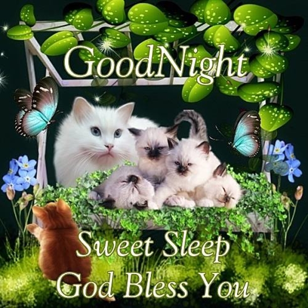 10 Touching Good Evening Messages To Help You Relax For The Night - picture 3