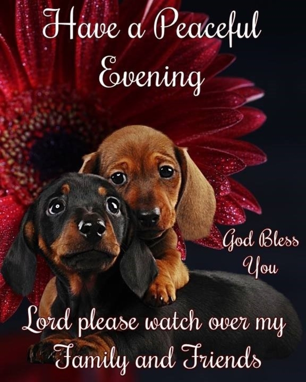 10 Touching Good Evening Messages To Help You Relax For The Night - picture 4