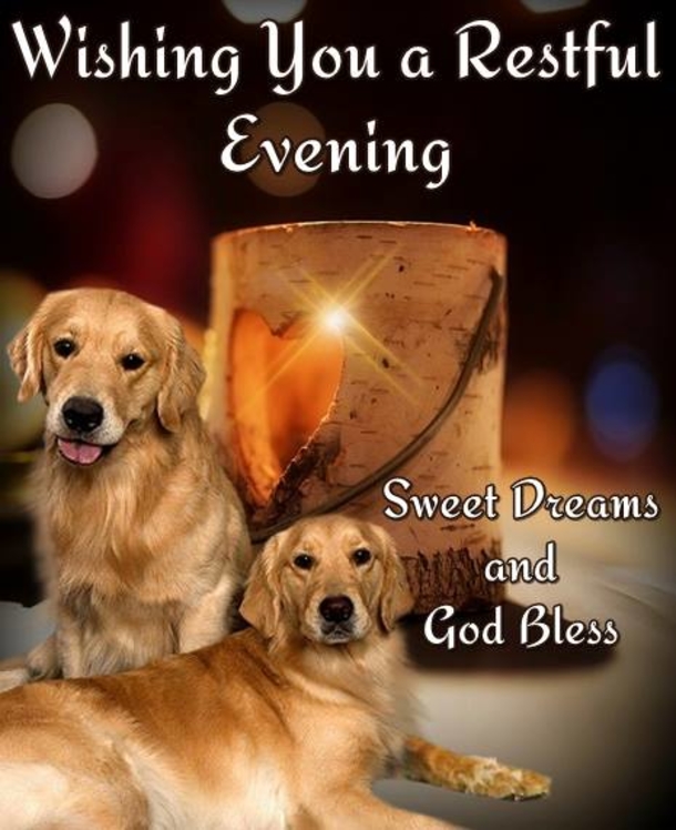 10 Touching Good Evening Messages To Help You Relax For The Night - picture 8