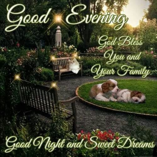10 Touching Good Evening Quotes And Sayings - picture 10