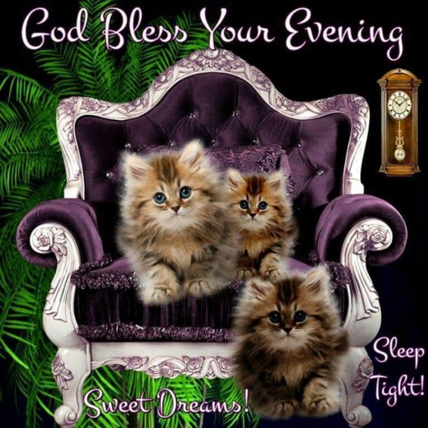 10 Touching Good Evening Quotes And Sayings - picture 11