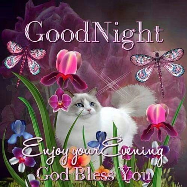10 Touching Good Evening Quotes And Sayings - picture 5
