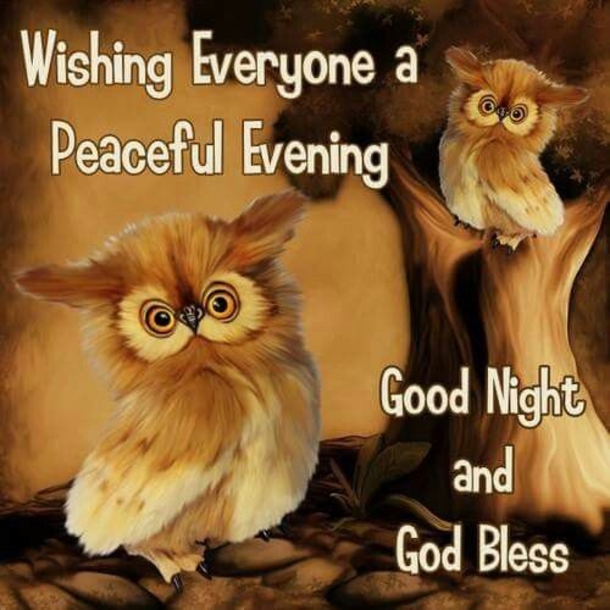 10 Touching Good Evening Quotes And Sayings - picture 6