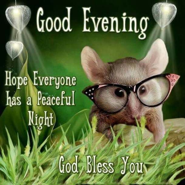 10 Touching Good Evening Quotes And Sayings - picture 7