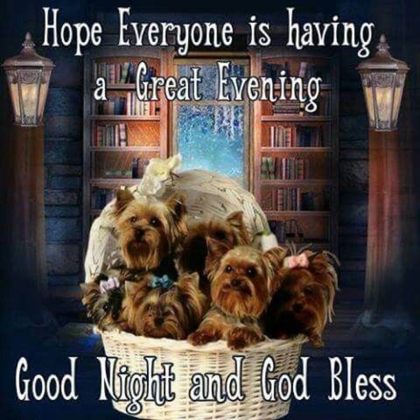 10 Touching Good Evening Quotes And Sayings - picture 8
