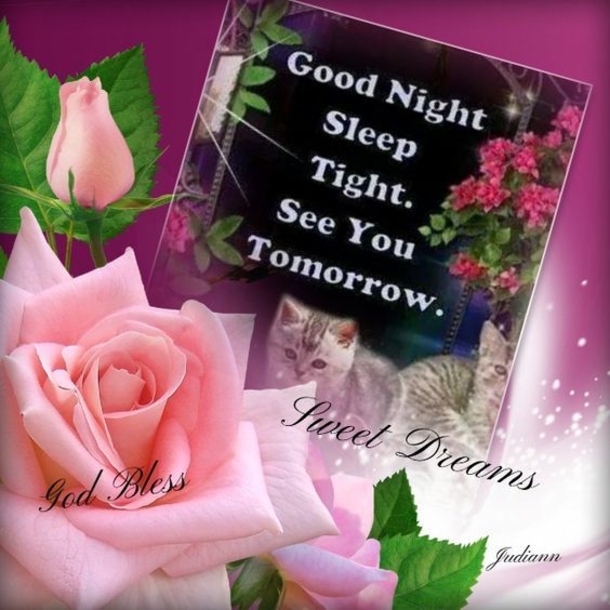 10 Touching Good Nights Images And Quotes - picture 6