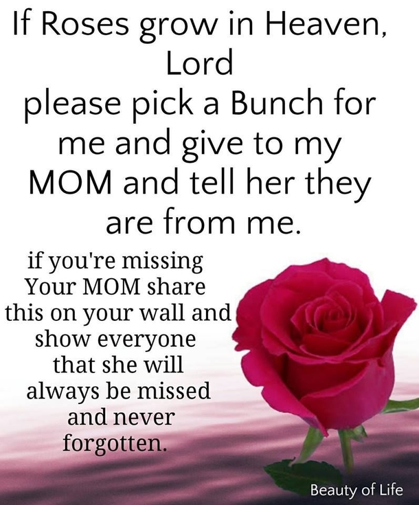 10 Touching Love Quotes About Mom That Are Perfect - picture 11