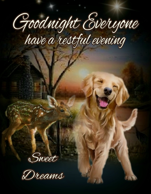 10 Touching & Beautiful Good Night Messages That Will Warm Your Heart - picture 10