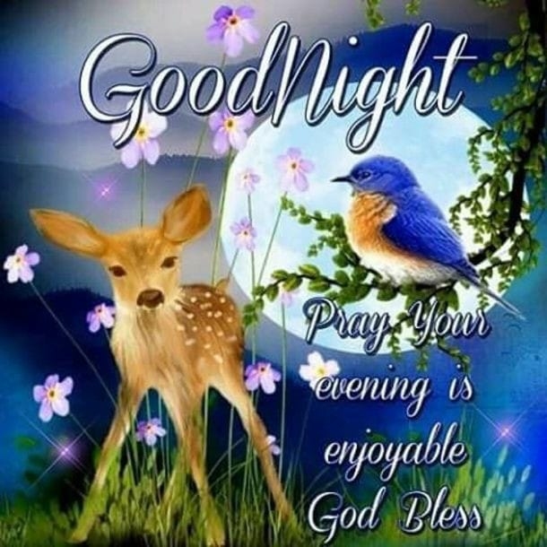 10 Touching & Beautiful Good Night Messages That Will Warm Your Heart - picture 11