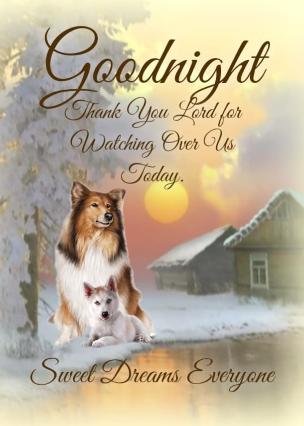 10 Touching & Beautiful Good Night Messages That Will Warm Your Heart - picture 13