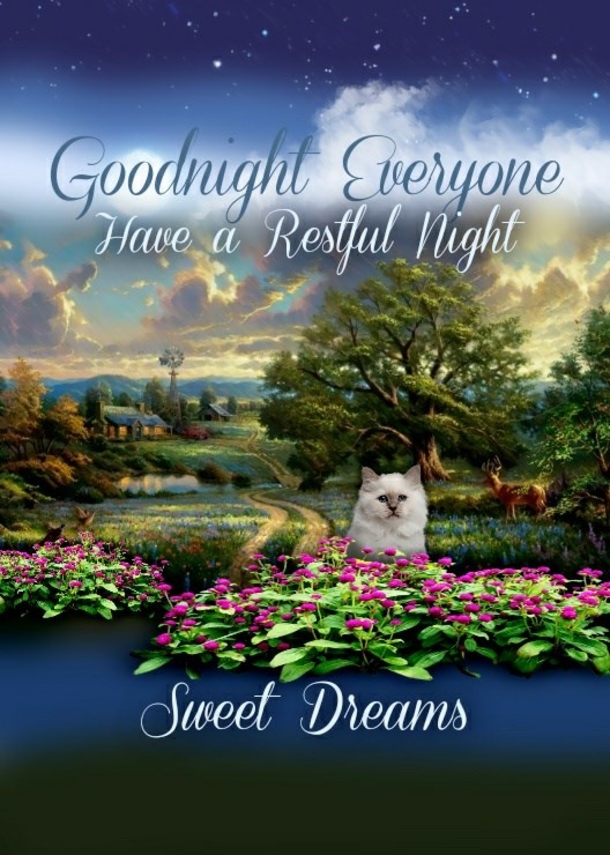 10 Touching & Beautiful Good Night Messages That Will Warm Your Heart - picture 4
