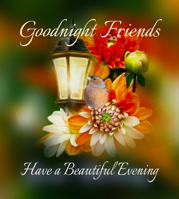 10 Touching & Beautiful Good Night Messages That Will Warm Your Heart - picture 6