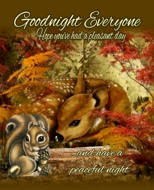 10 Touching & Beautiful Good Night Messages That Will Warm Your Heart - picture 7