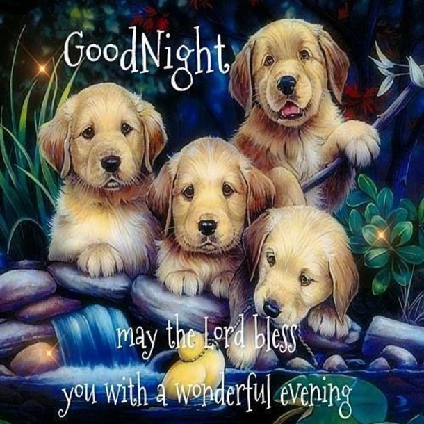 10 Touching & Inspiring Good Night Quotes - picture 11